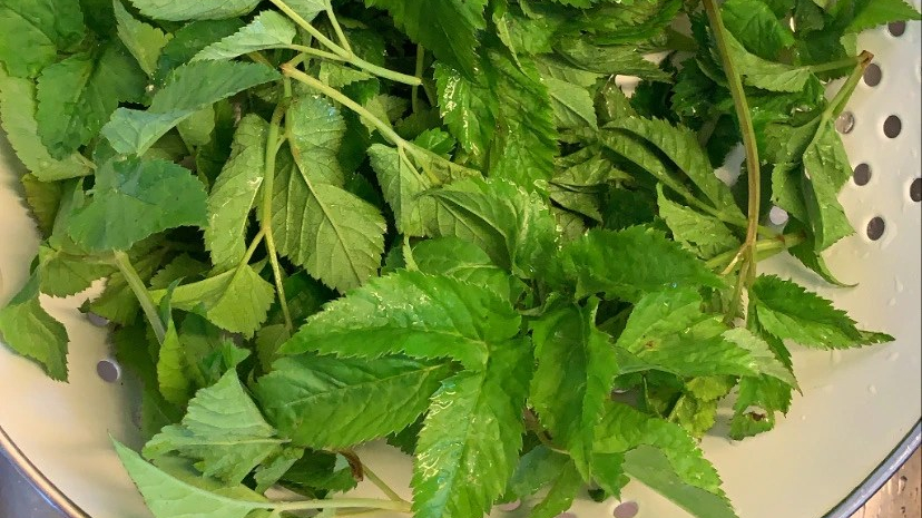 Ogräs att se upp med 